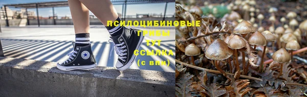 крисы Алексеевка