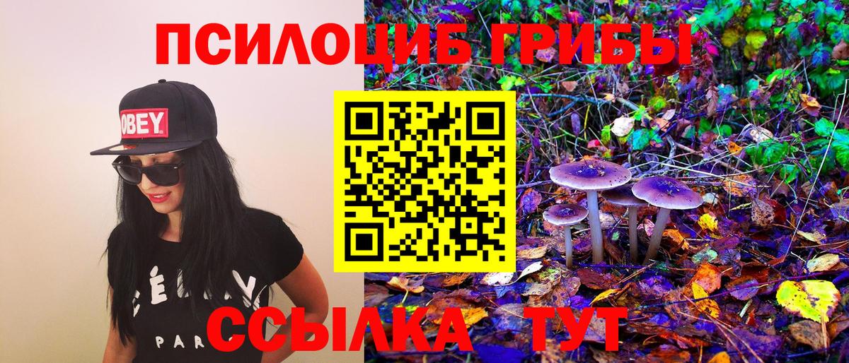 Галлюциногенные грибы Magic Shrooms  Вход с VPN  Псилоцибиновые грибы Psilocybine cubensis  Узловая 