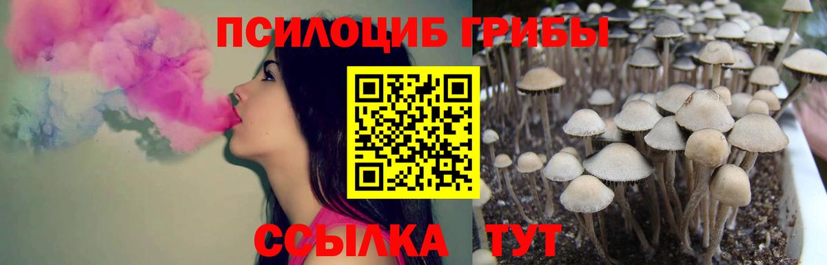 Псилоцибиновые грибы MAGIC MUSHROOMS Узловая